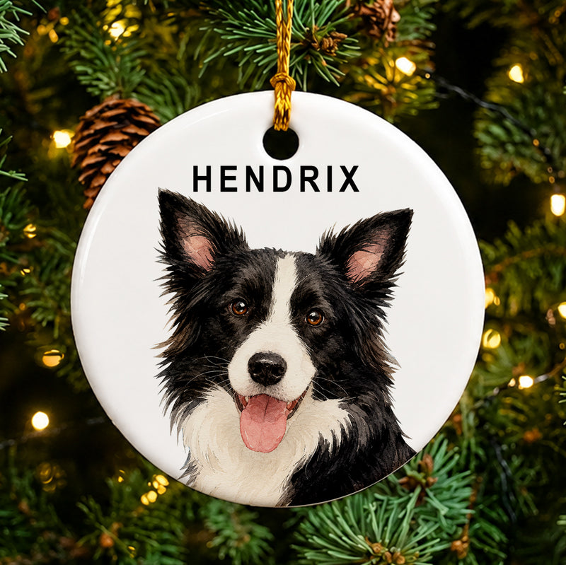 Custom Pet Portrait With Name - Personalized Ornament